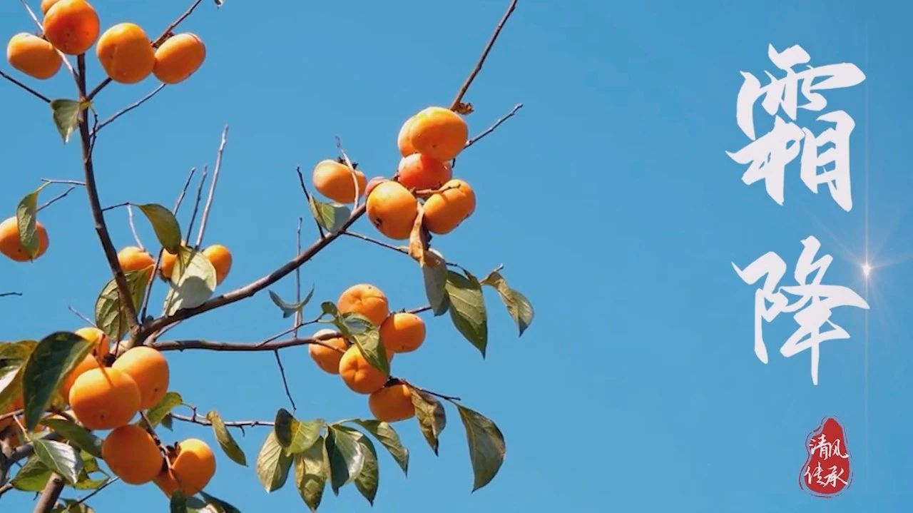 清风·传承丨霜降：霜华渐落 更见秋实