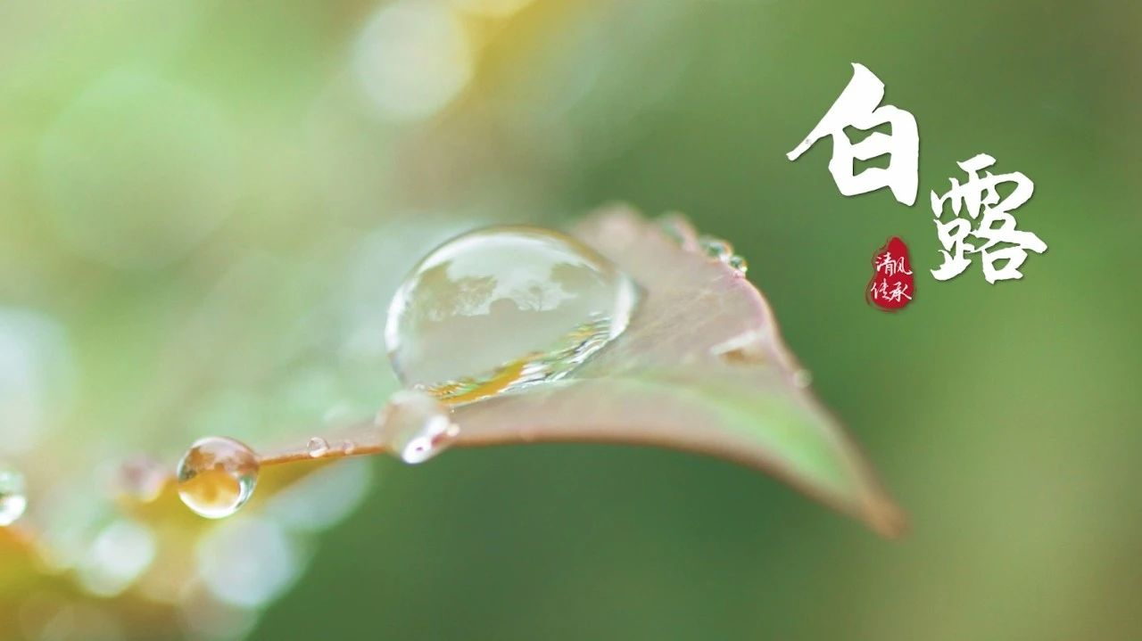 清风·传承丨白露：开笔启智 人生始立