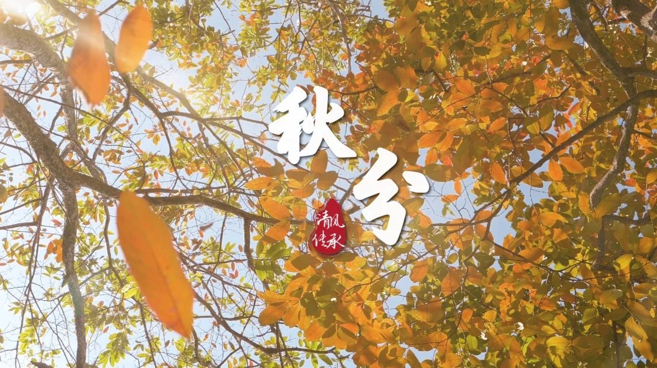 清风·传承丨秋分：又是一年好“丰”景