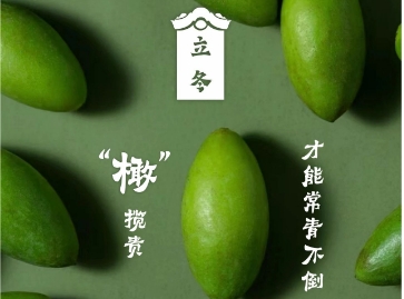 当二十四节气遇见揭阳美食 | 立冬 · 橄榄